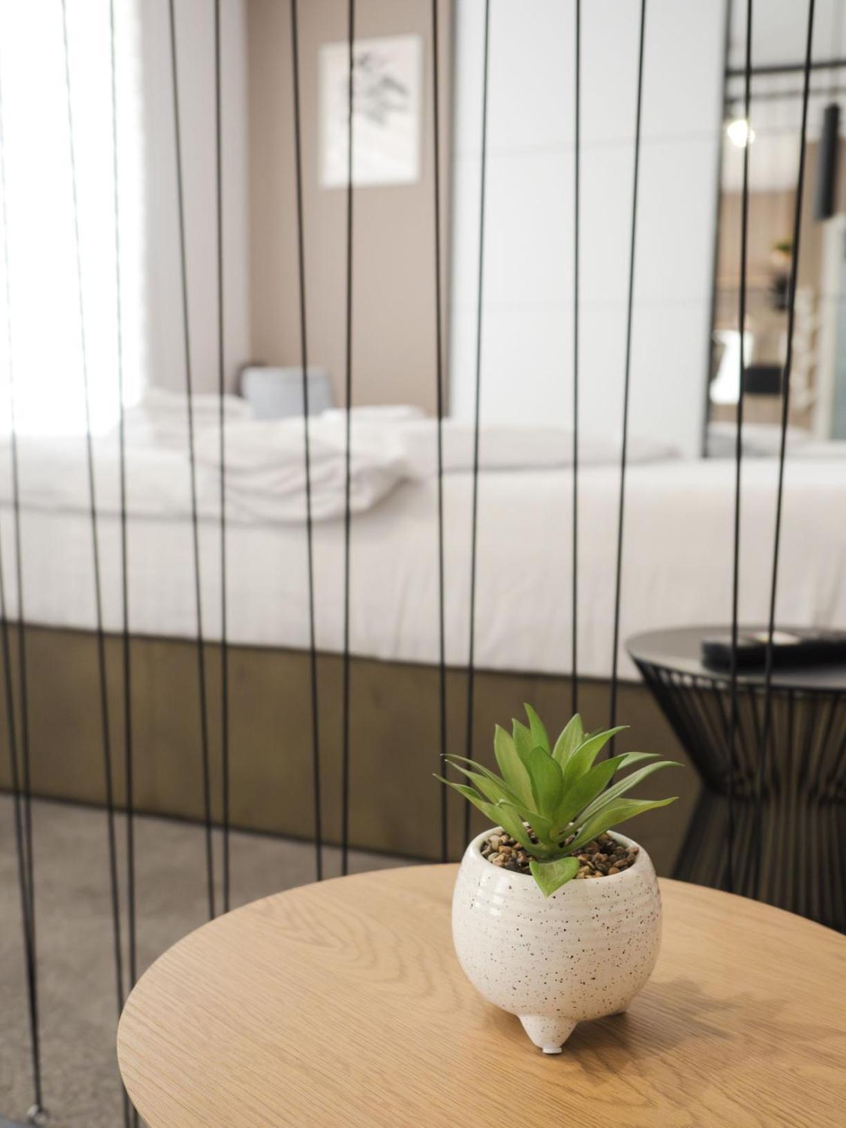 Gavas Cozy Studios Central David Prodan Cluj-Napoca Ngoại thất bức ảnh