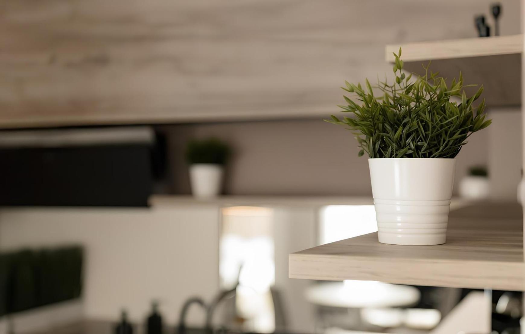 Gavas Cozy Studios Central David Prodan Cluj-Napoca Ngoại thất bức ảnh