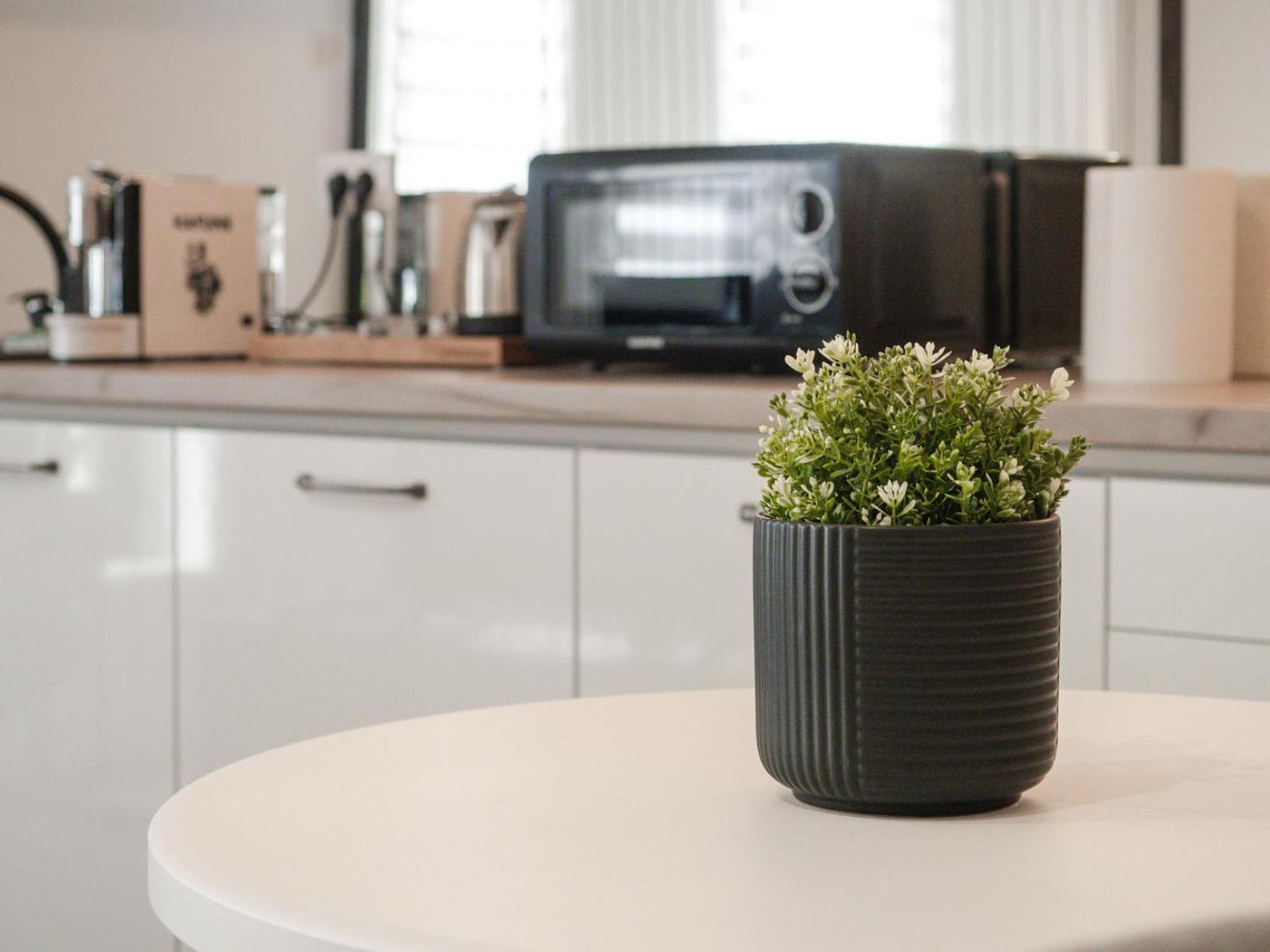 Gavas Cozy Studios Central David Prodan Cluj-Napoca Ngoại thất bức ảnh